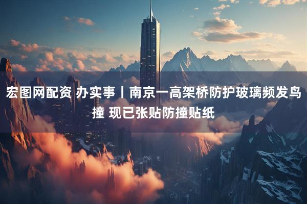 宏图网配资 办实事丨南京一高架桥防护玻璃频发鸟撞 现已张贴防撞贴纸