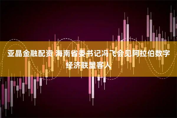 亚晶金融配资 海南省委书记冯飞会见阿拉伯数字经济联盟客人